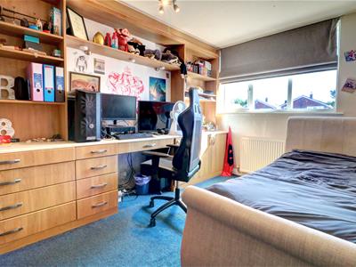 Picture 13